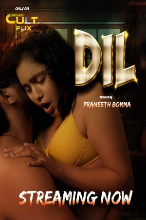 Dil (2024) CultFlix S01E01T02_MdiskVideo_165fc9be83f965.png